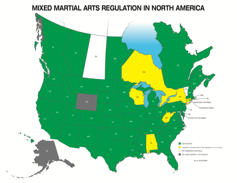 Illustration for article titled Foolish New York Assemblyman Makes MMA In New York More Dangerous